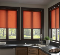 Control Multiple Shades a once with Voice commands or a remote.